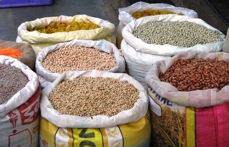 Drought Leads to SADC Grain Shortage of More Than 5 Million Tonnes Affecting 41 Million People